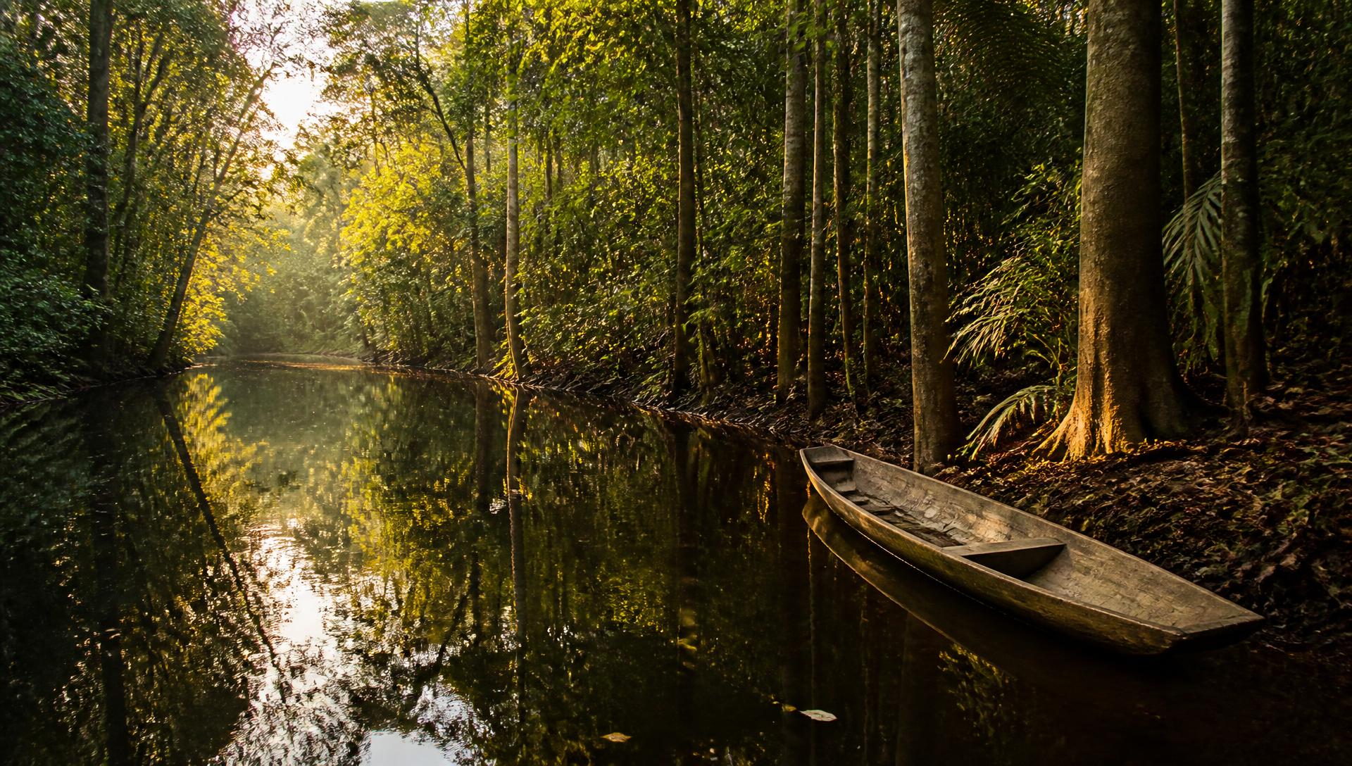 Igarapé de águas escuras no Tarumã Mirim, cercado pela floresta amazônica, com uma canoa de madeira encostada na margem sob a luz dourada do fim da tarde.